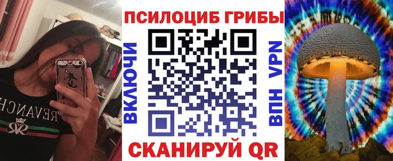 Купить  Старый Крым  Псилоцибиновые грибы Psilocybine cubensis 